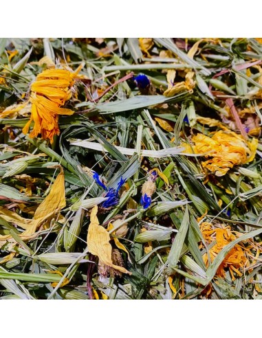 Campo di fiori ed erbe per foraging...