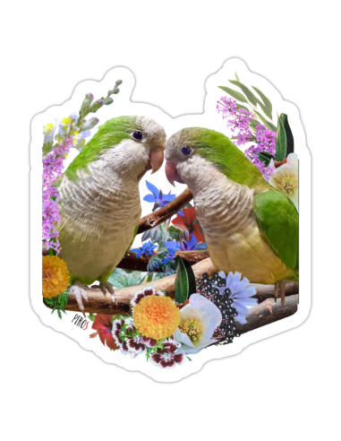 Floral Sticker Monk parakeets